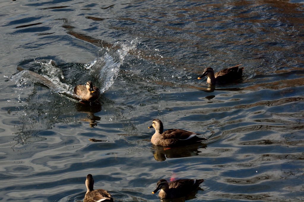 待たせてごめ～ん