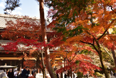 京都の紅葉２０２０　その２