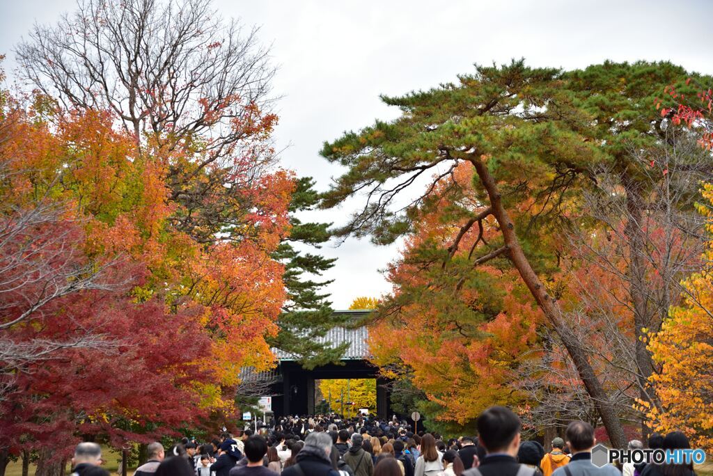 乾通り　その３