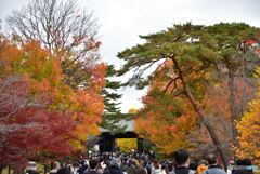 乾通り　その３