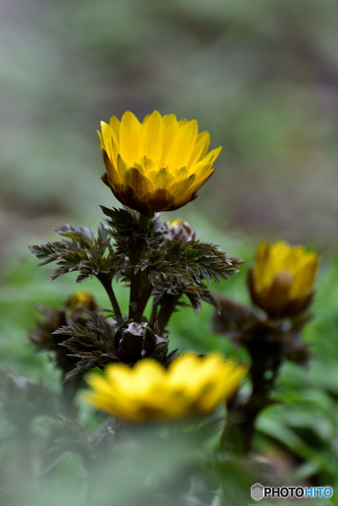 沸き出でるenergy