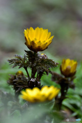 沸き出でるenergy