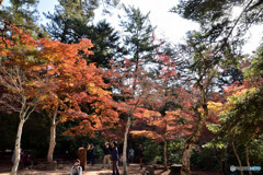 秋（安芸）の宮島