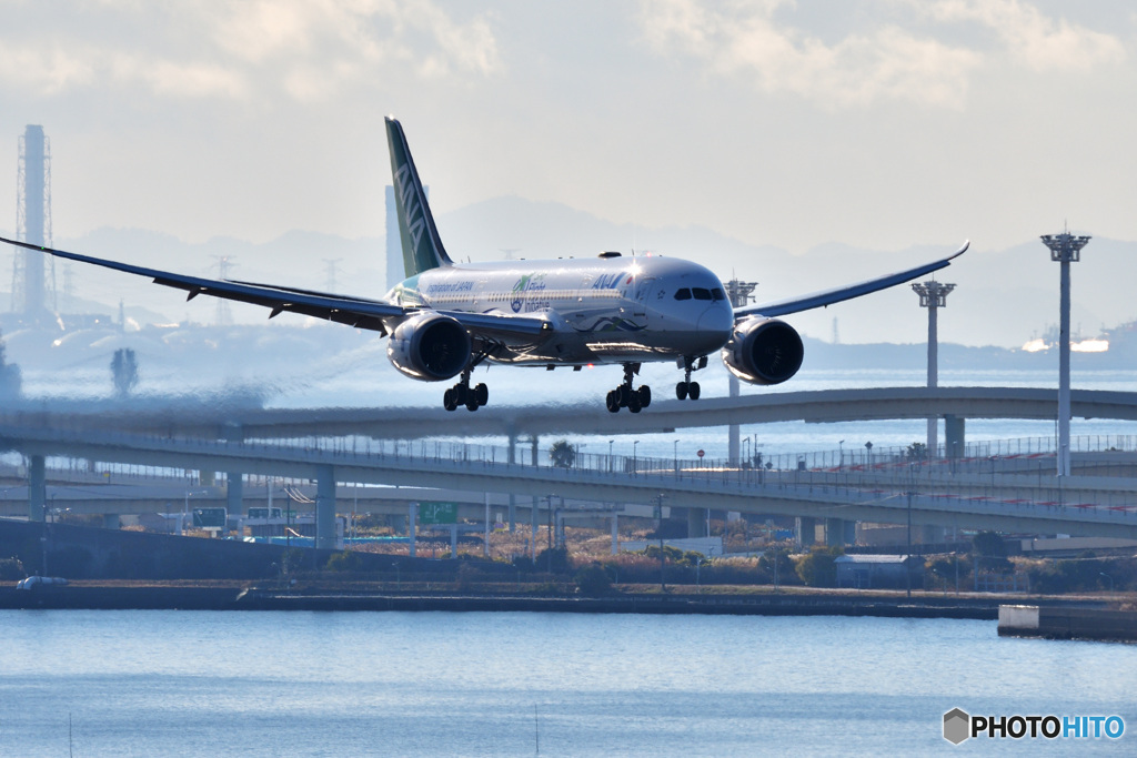 緑のANA機