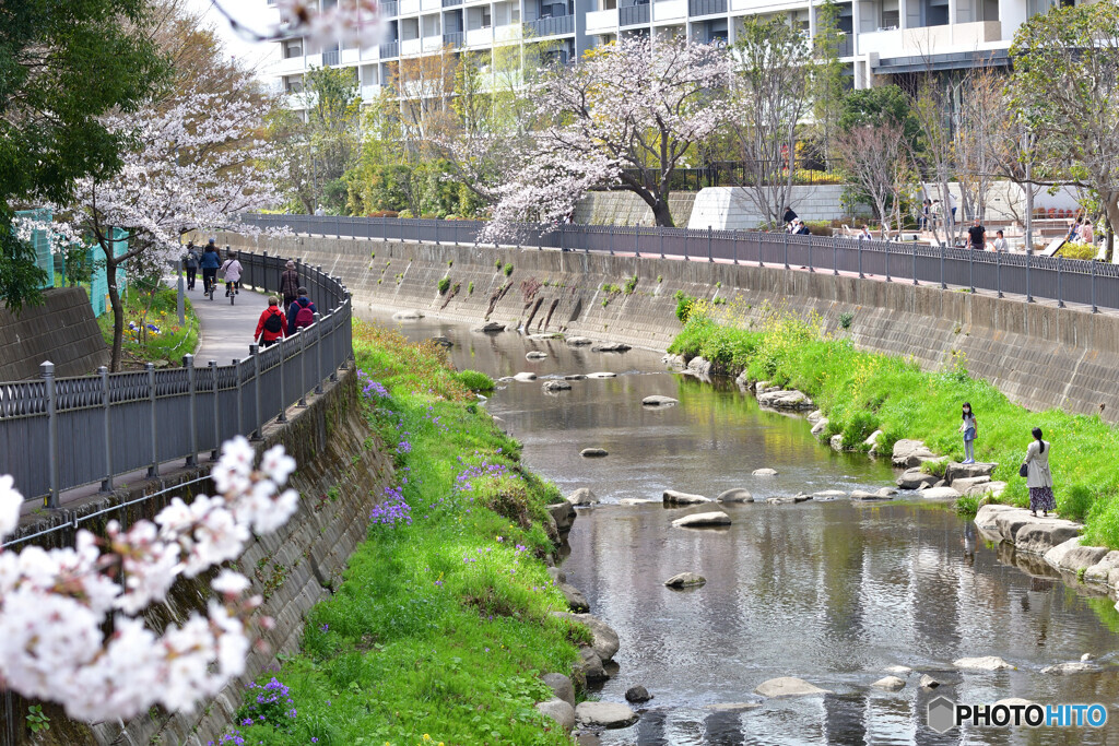 川沿いの散歩道