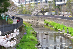 川沿いの散歩道