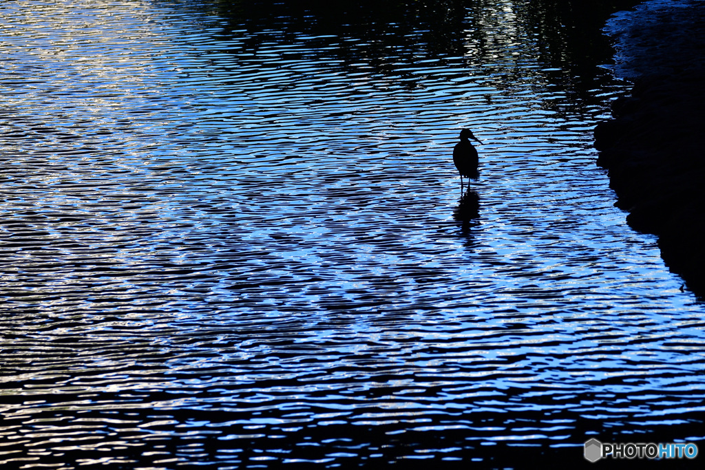SILENT