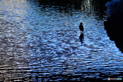 SILENT