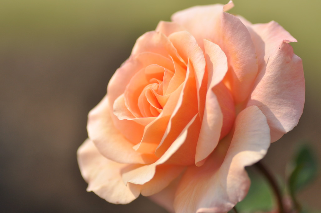 港の見える丘公園