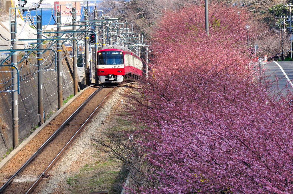 春は電車に乗って・・（リベンジ編）