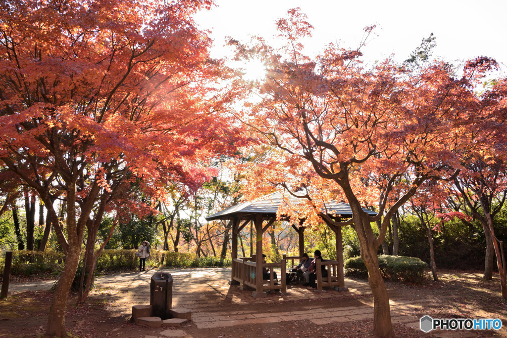 遠くの名所より近くの公園　その２