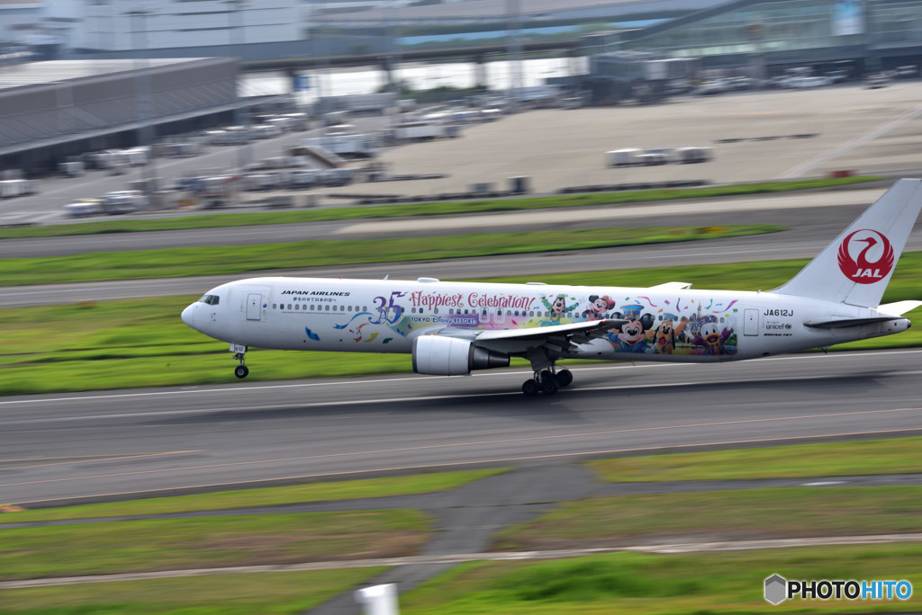 夏の羽田空港便り　⑨