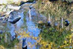 水面に溶け込む秋