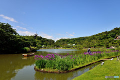 初夏の薫り