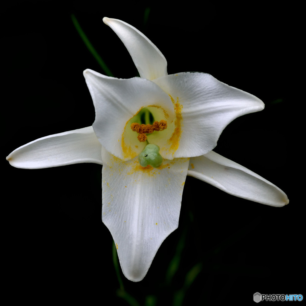 たまには向き合って