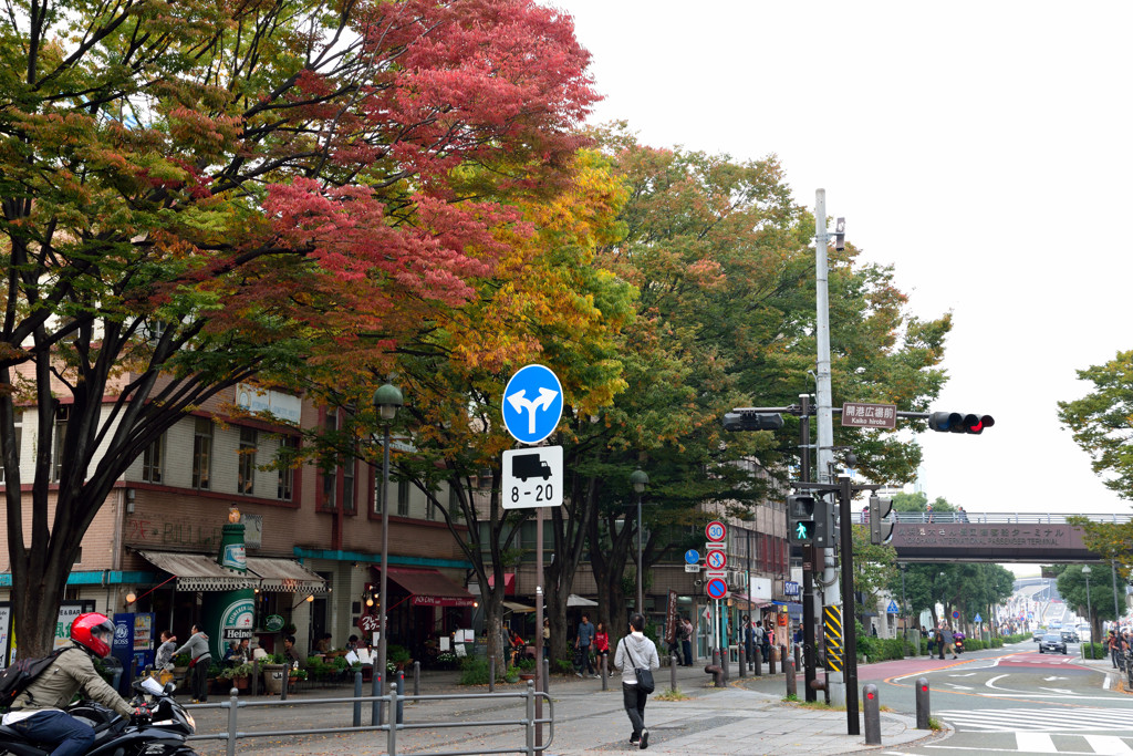 大桟橋への入り口