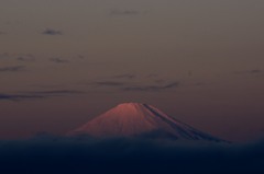 すっかり冬の装い
