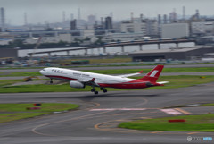 夏の羽田空港便り　⑪