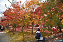 京都の紅葉２０２０　その２４