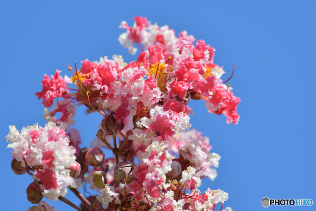 eloquence　その４