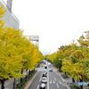 見頃も近い