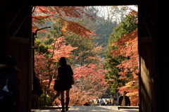 来年また逢いましょう