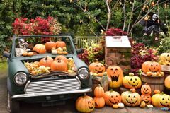 ハロウィン