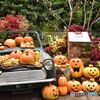 ハロウィン