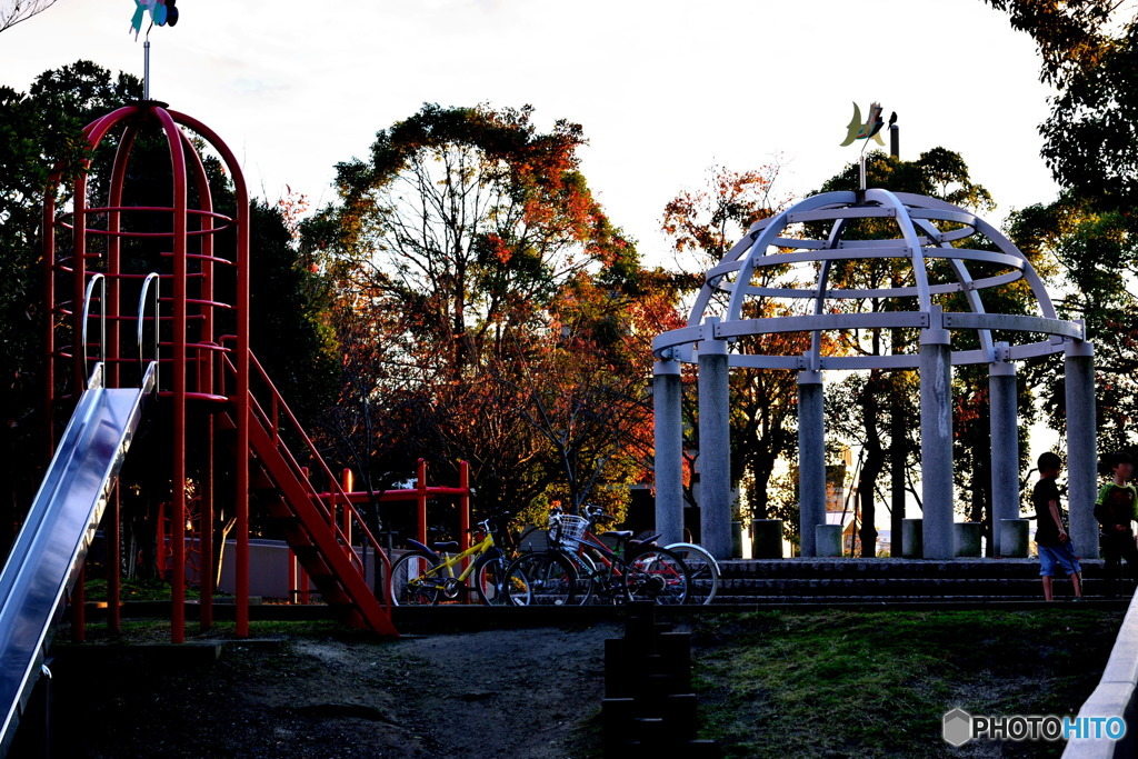 公園の秋
