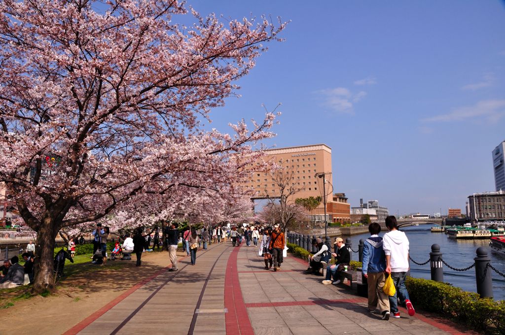 春の横浜散策　その１０