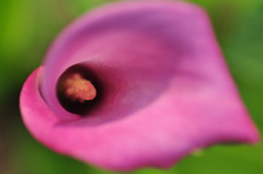 未知へのトンネル