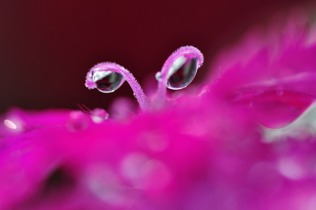 雨の悪戯