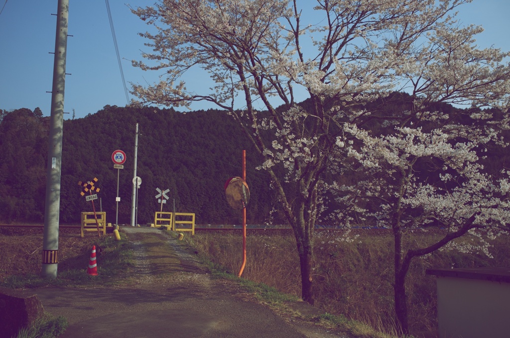 田舎の景色