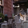 Cat on the grave