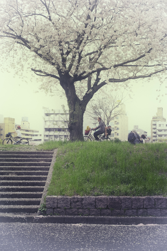いい日旅立ち