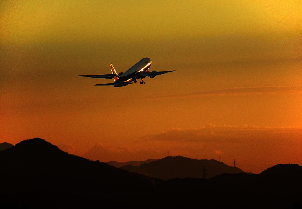 ANA538 GOOD DAY!