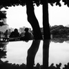 元安川秋模様