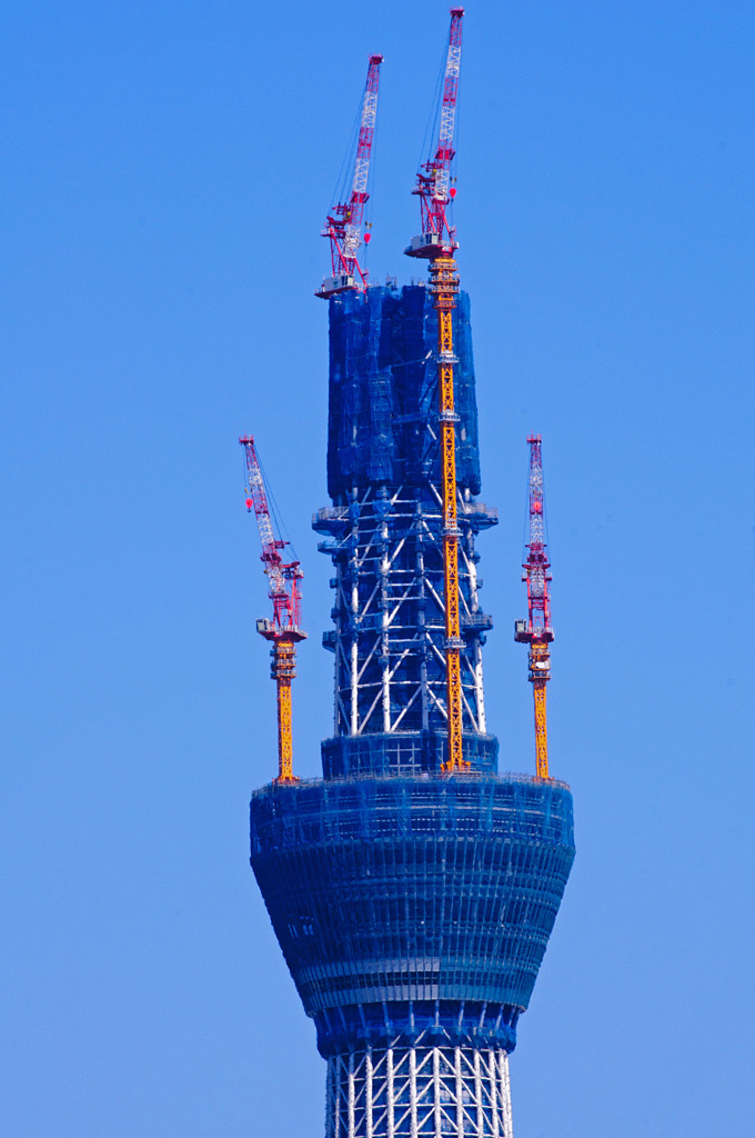 今日のSKYTREE