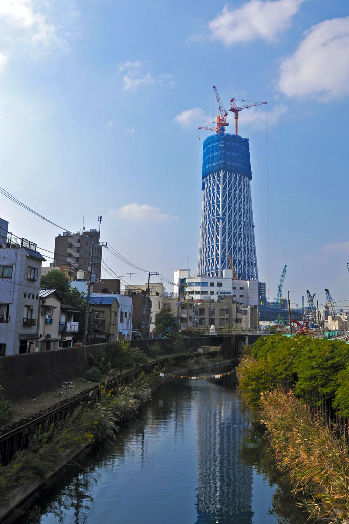 今となっては見れない光景