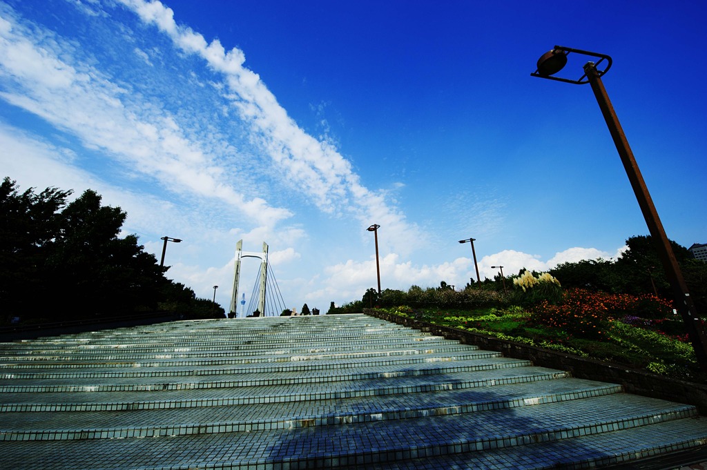 東京秋空風景〜木場公園