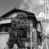 さらばうどん県シリーズ〜狭小神社と電波塔がある風景