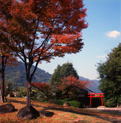 A square fall