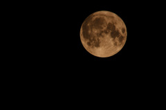 被災地に届け！Extreme Super Moon