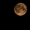 被災地に届け！Extreme Super Moon