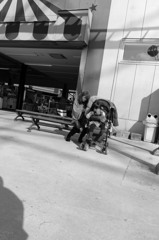 組写真サーカス④