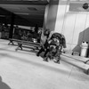 組写真サーカス④