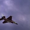 やっぱ一番目立ってました〜岐阜基地航空際