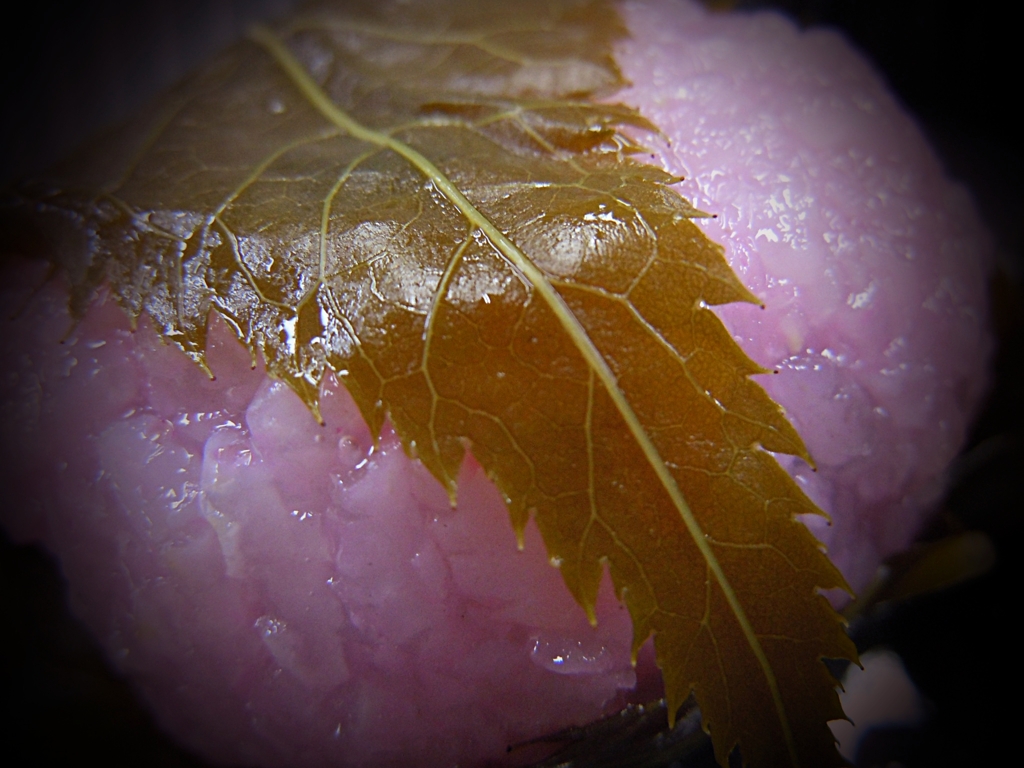 一足お先の満開