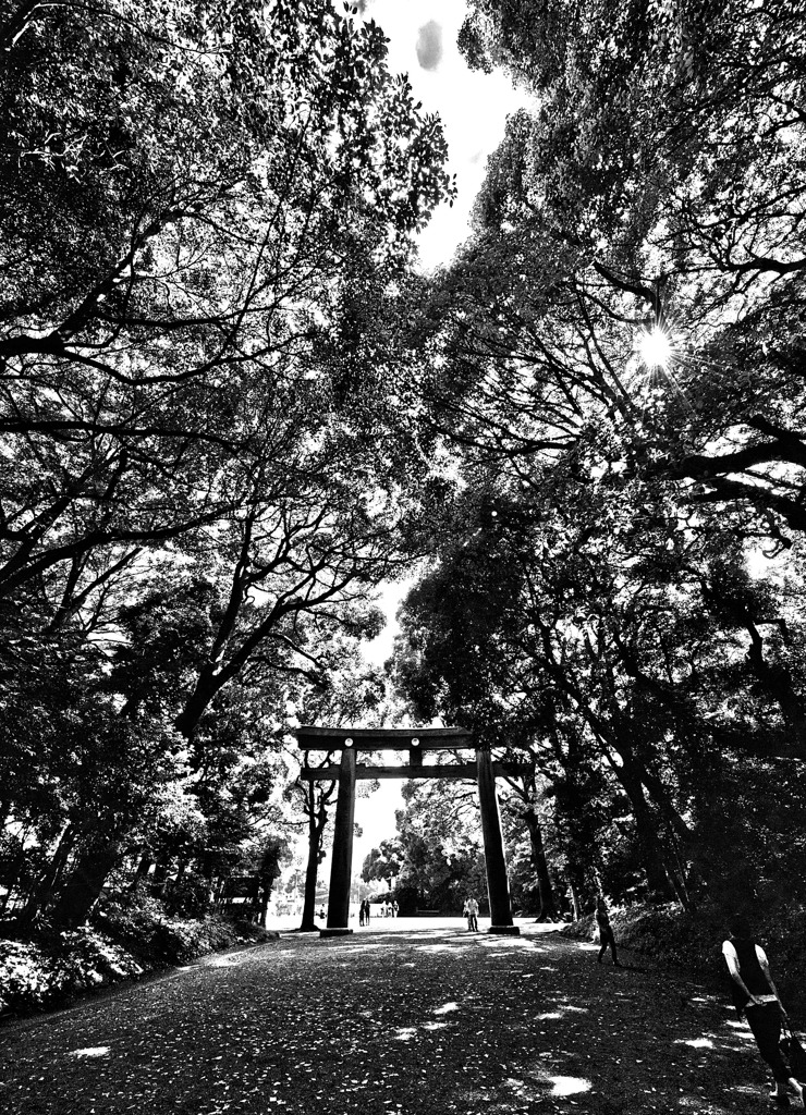 神々の社