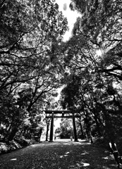 神々の社